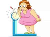 上海火狐网络科技有限公司