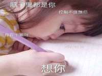 上海火狐网络科技有限公司