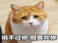 上海火狐网络科技有限公司
