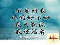 上海火狐网络科技有限公司