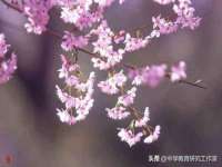 上海火狐网络科技有限公司