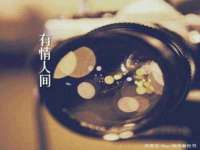 上海火狐网络科技有限公司