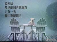 上海火狐网络科技有限公司