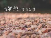 上海火狐网络科技有限公司