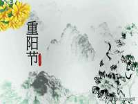 上海火狐网络科技有限公司