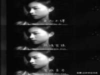 上海火狐网络科技有限公司