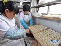 上海火狐网络科技有限公司