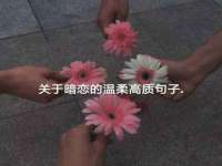 上海火狐网络科技有限公司