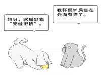 上海火狐网络科技有限公司