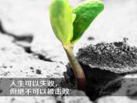 上海火狐网络科技有限公司
