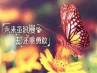上海火狐网络科技有限公司