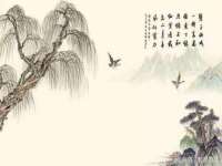 上海火狐网络科技有限公司