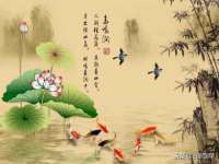 上海火狐网络科技有限公司