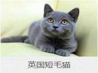 上海火狐网络科技有限公司