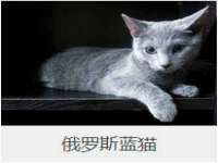 上海火狐网络科技有限公司