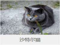 上海火狐网络科技有限公司