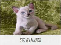 上海火狐网络科技有限公司