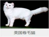上海火狐网络科技有限公司