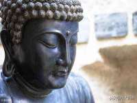 上海火狐网络科技有限公司