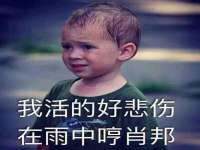 上海火狐网络科技有限公司