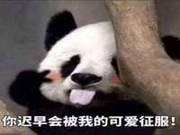 上海火狐网络科技有限公司