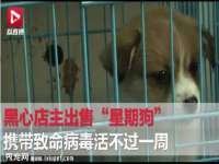 上海火狐网络科技有限公司