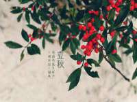 上海火狐网络科技有限公司