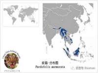 上海火狐网络科技有限公司