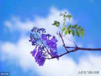 上海火狐网络科技有限公司