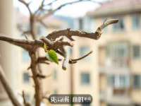 上海火狐网络科技有限公司