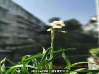 上海火狐网络科技有限公司