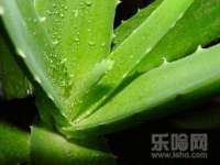 上海火狐网络科技有限公司