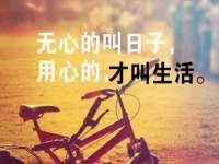 上海火狐网络科技有限公司