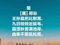 上海火狐网络科技有限公司