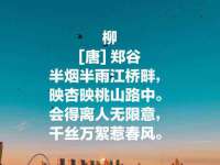 上海火狐网络科技有限公司