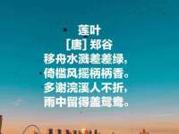 上海火狐网络科技有限公司