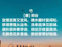 上海火狐网络科技有限公司