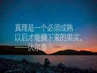 上海火狐网络科技有限公司