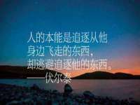 上海火狐网络科技有限公司