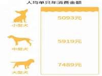上海火狐网络科技有限公司