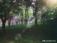 上海火狐网络科技有限公司
