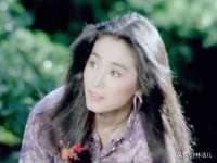 上海火狐网络科技有限公司