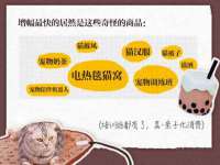 上海火狐网络科技有限公司