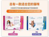 上海火狐网络科技有限公司