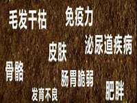 上海火狐网络科技有限公司