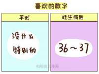 上海火狐网络科技有限公司