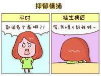 上海火狐网络科技有限公司