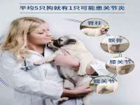 上海火狐网络科技有限公司