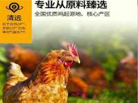 上海火狐网络科技有限公司