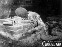 上海火狐网络科技有限公司